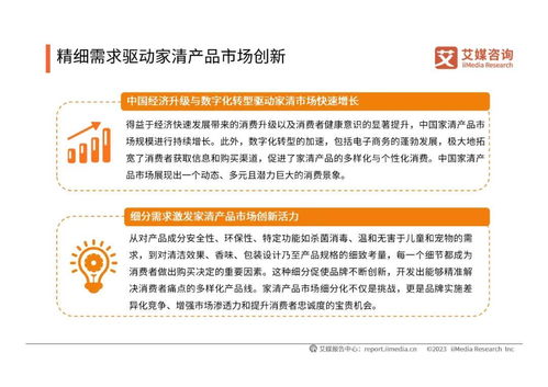 2024年中國家清產品消費趨勢洞察與知識產權保護